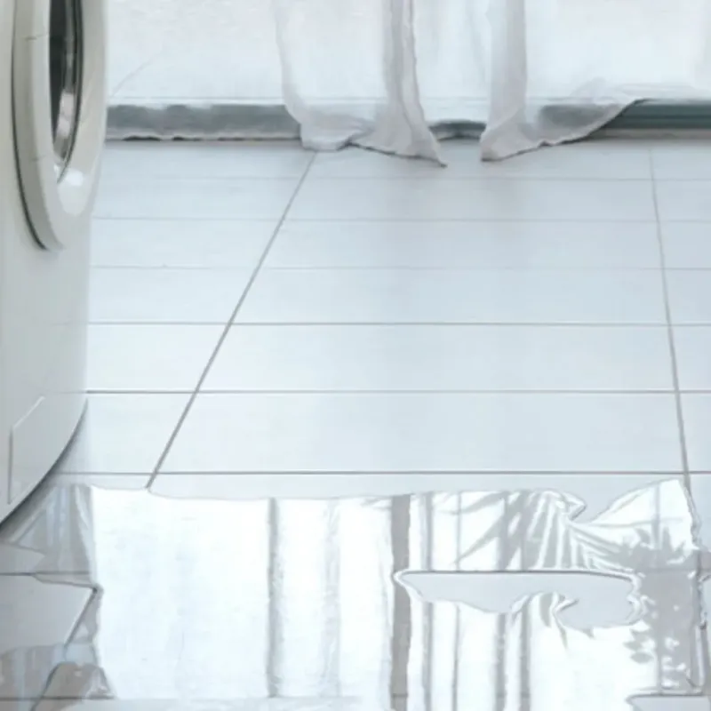 Appliance Leak Cleanup in McColl, SC