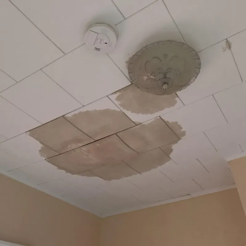 Ceiling Water Damage Repair in McColl, SC
